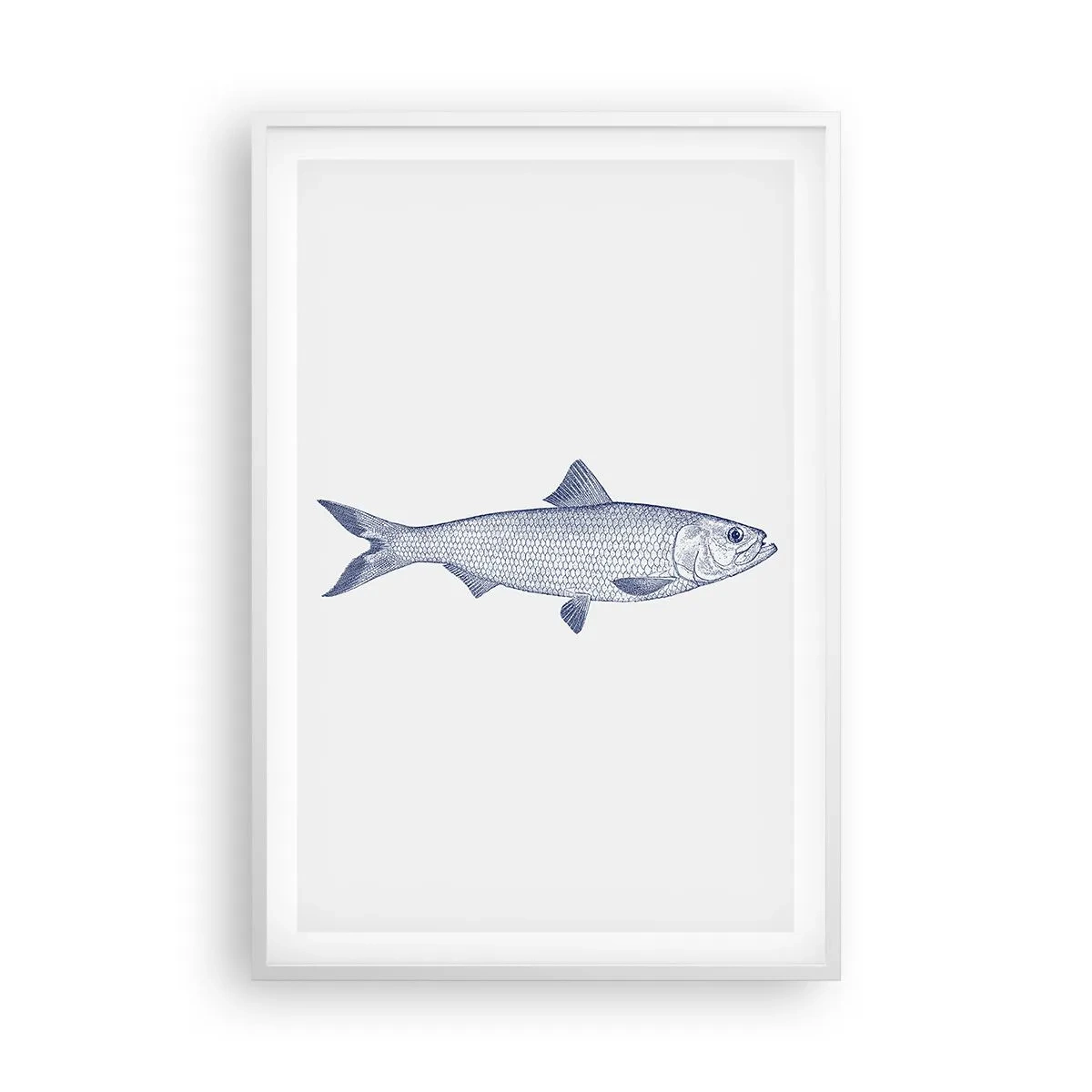 Plagát v bielom ráme - Pozdravy zo severných morí - 61x91 cm