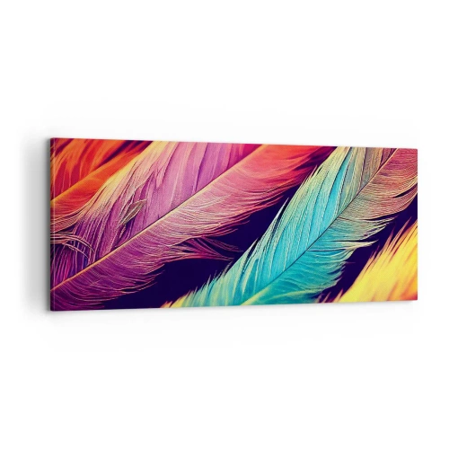 Obraz na plátne - Operená dúha - 100x40 cm