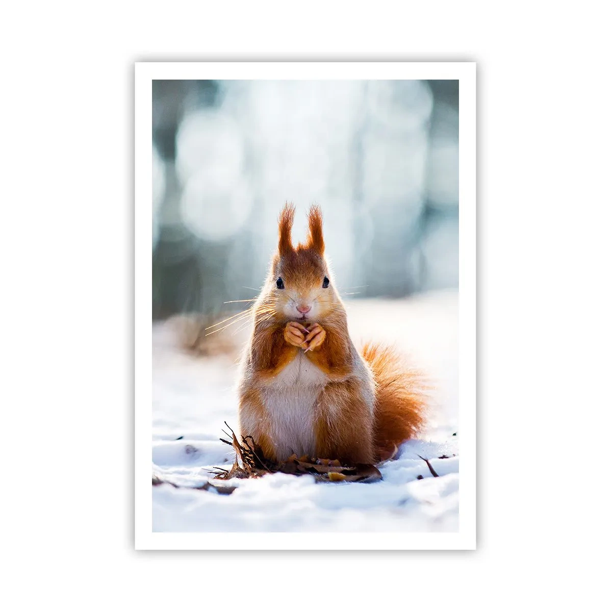 Plagát - Čo sa tak pozeráš? - 70x100 cm