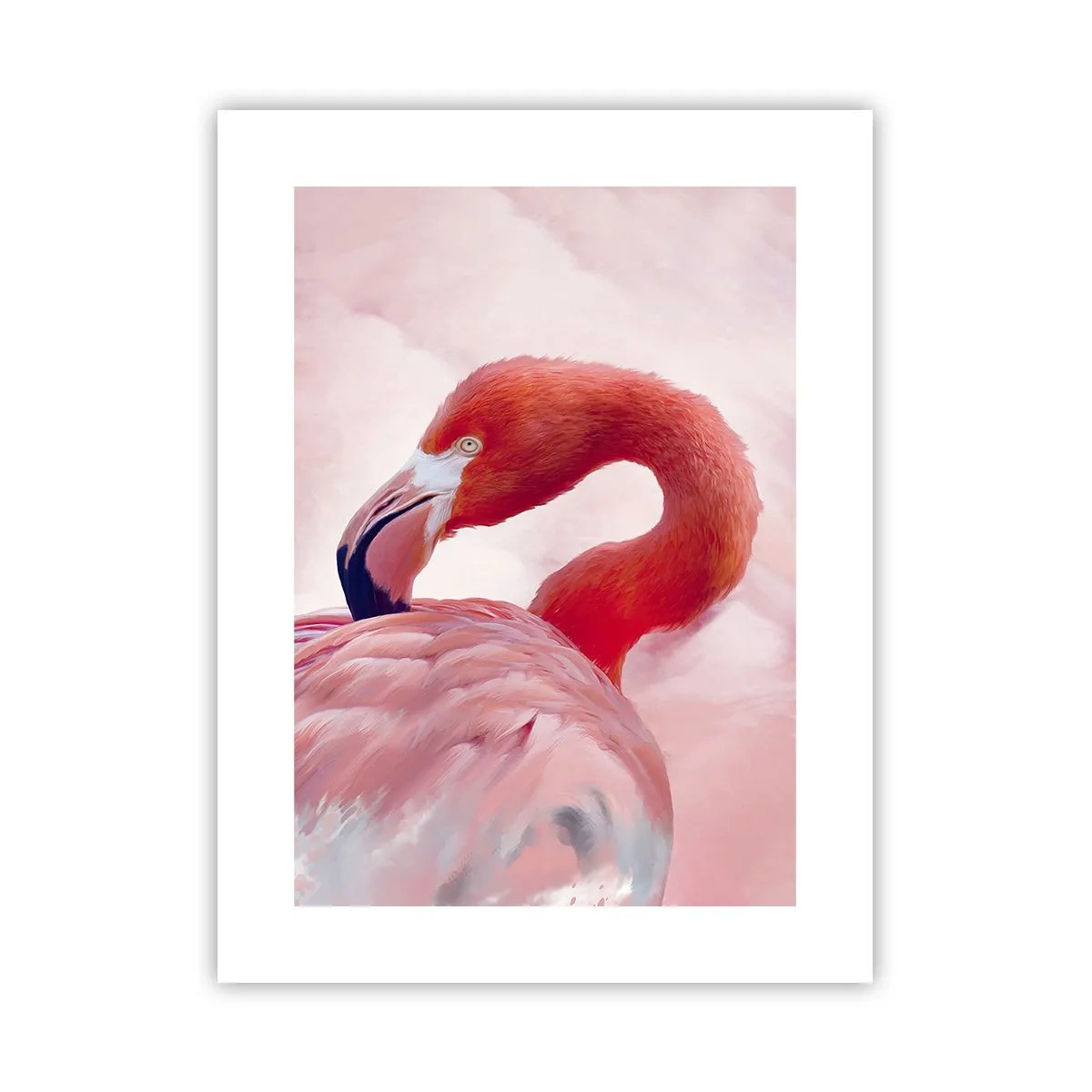 Plagát - Vtáčia krása - 30x40 cm