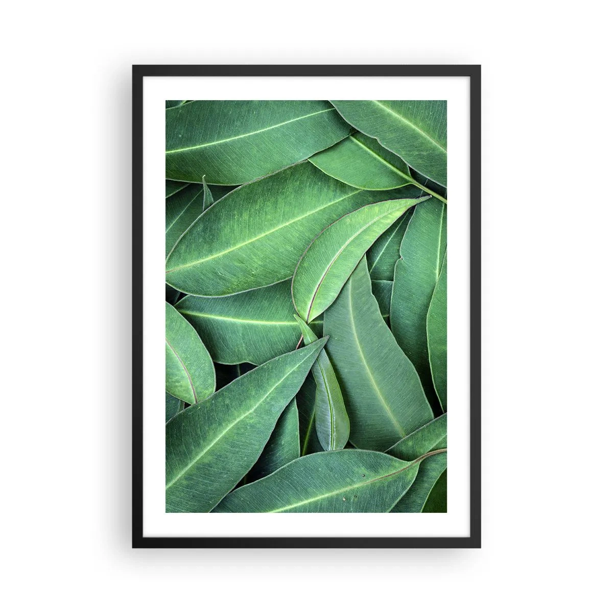 Plagát v čiernom ráme - Zelené listy usporiadané v hustej kompozícii - 50x70cm - Šťavnaté a svieže - Moderná nástenná dekorácia do obývacej izby a spálne ARTTOR