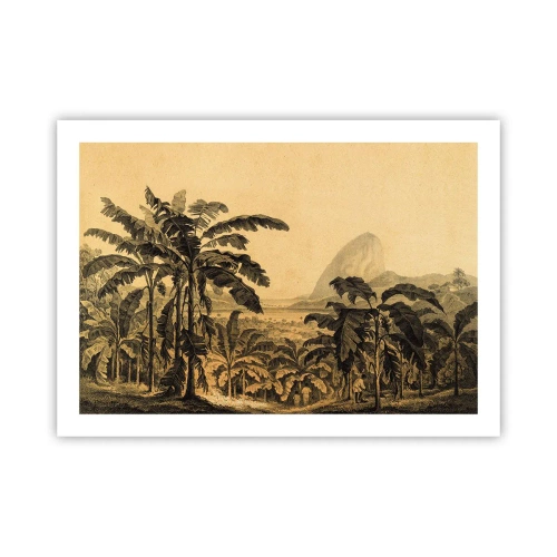 Plagát - V koloniálnom štýle - 70x50 cm