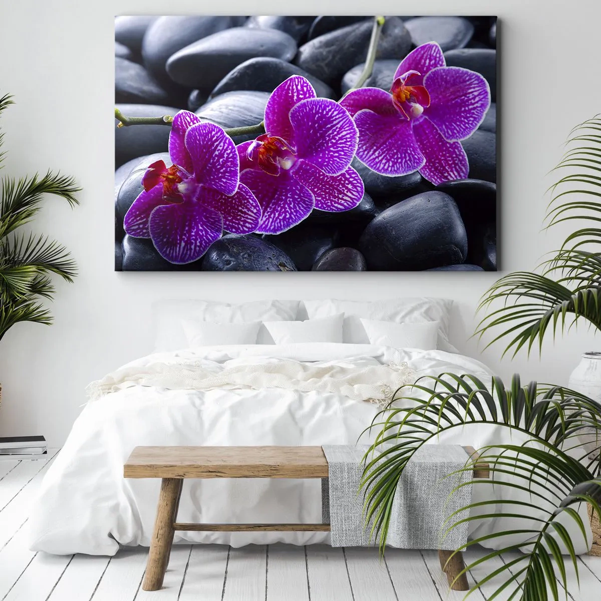 Obraz na plátne - Fialové orchidey na pozadí čiernych kameňov - 70x50cm - Kamene sa rozžiarili nadšením - Moderná nástenná dekorácia do obývacej izby a spálne ARTTOR