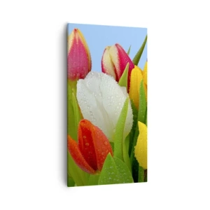 Obraz na plátne - Kvetinová dúha v kvapkách rosy - 55x100 cm