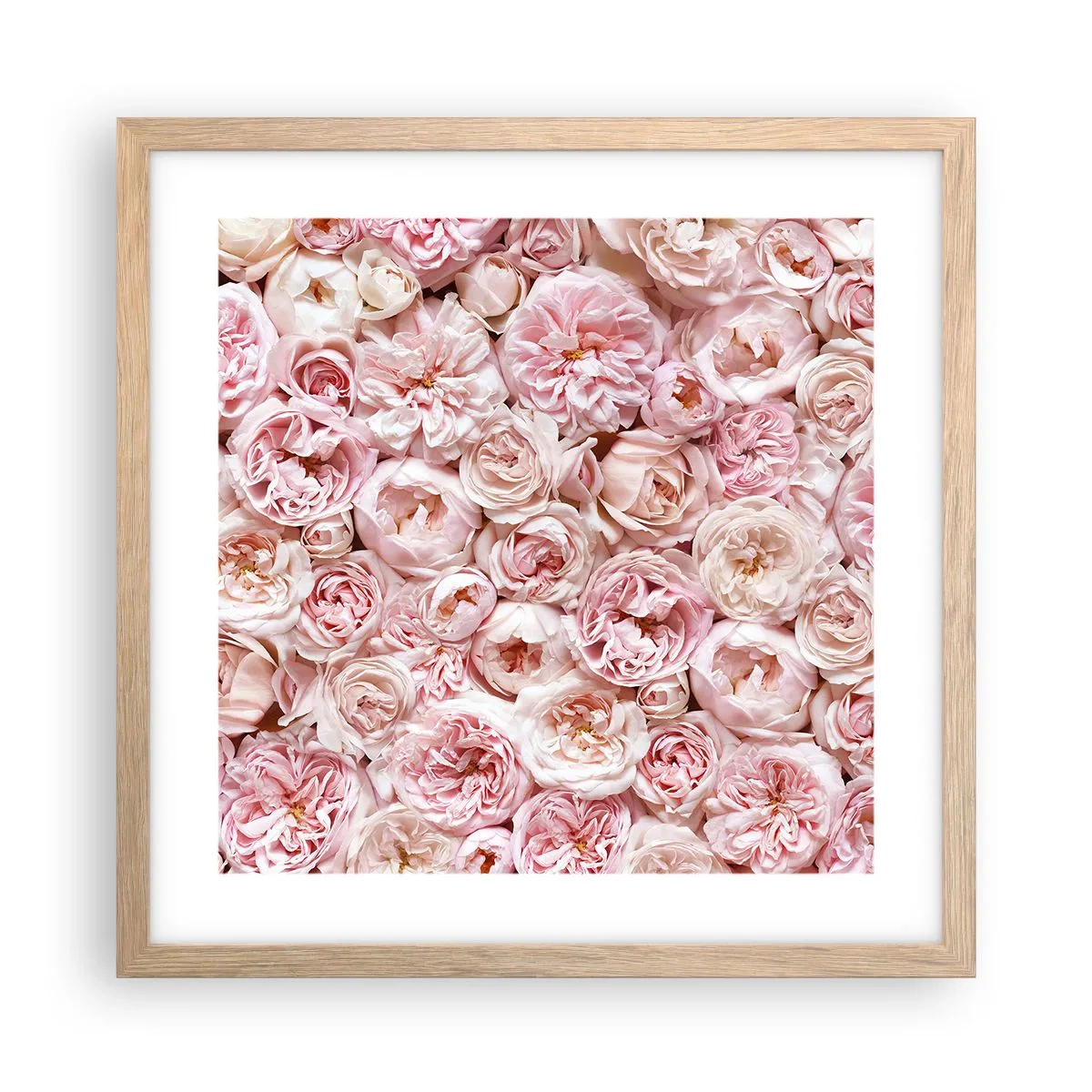 Plagát v ráme zo svetlého duba - Vydláždená ružami - 40x40 cm