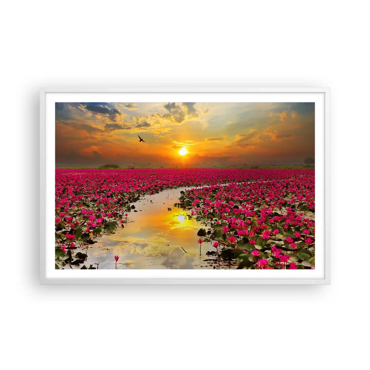 Plagát v bielom ráme - Tajomný život jazera - 91x61 cm