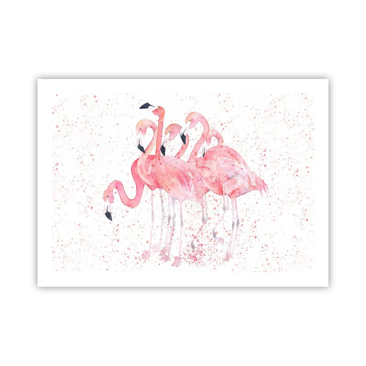 Plagát - Ružový ansámbl - 70x50 cm