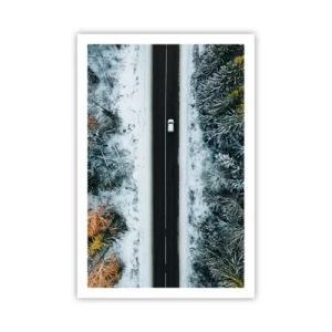 Plagát - Cez zimný les - 61x91 cm