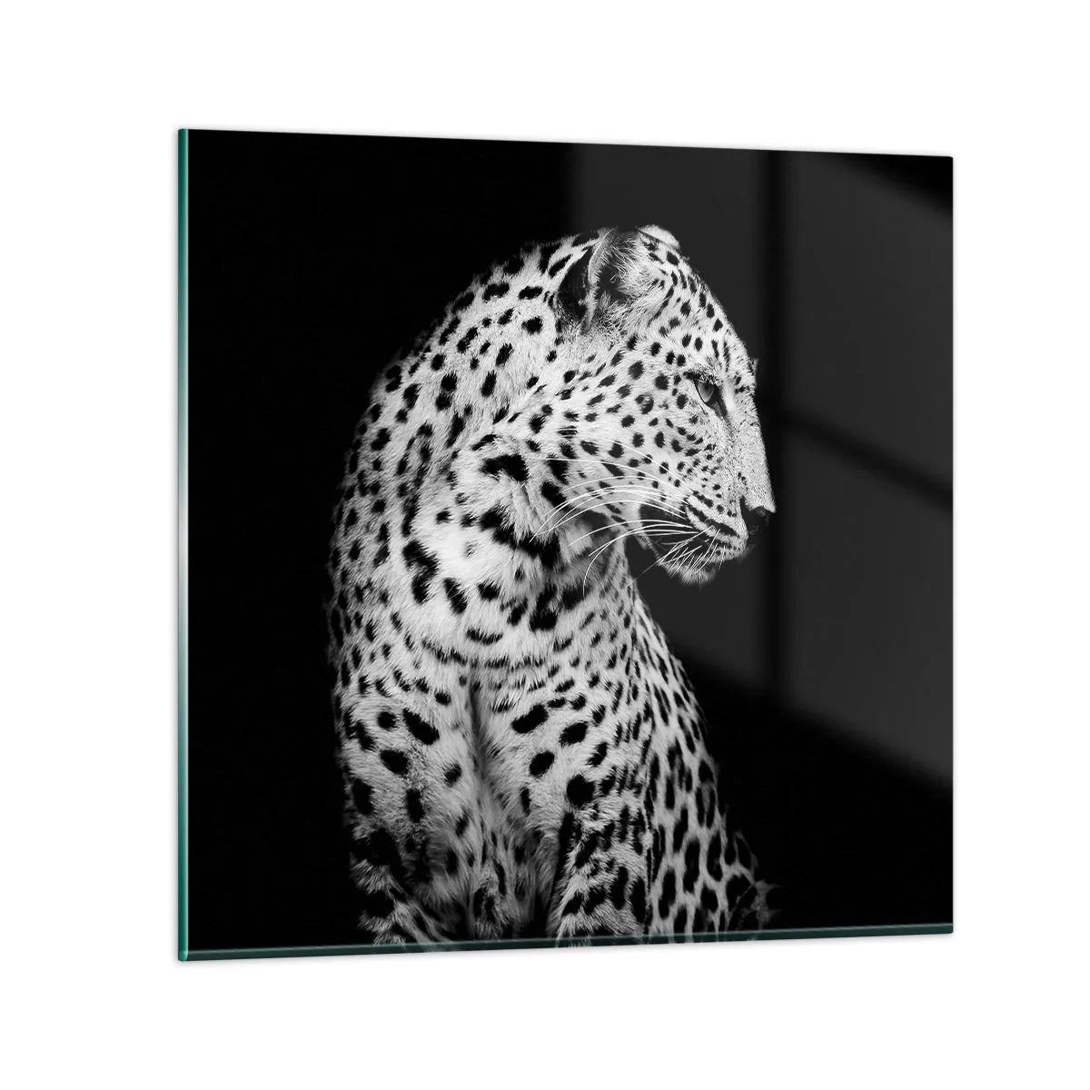 Obraz na skle - Pravý profil perfektný! - 40x40 cm