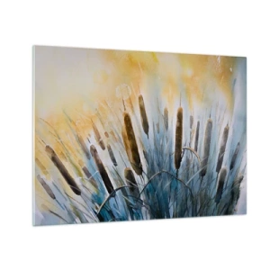 Obraz na skle - Maľované orobince proti slnečnej oblohe - 70x50cm - Chlad vody, žiara slnka - Moderná nástenná dekorácia do obývacej izby a spálne ARTTOR