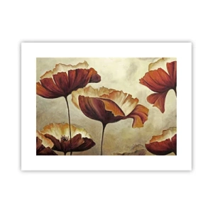 Plagát - Lán lúky - 40x30 cm