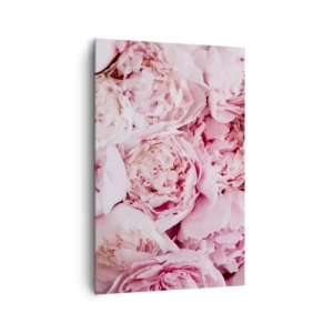 Obraz na plátne - Pritúlené a voňavé - 80x120 cm