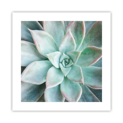 Plagát - Srdce púšte - 40x40 cm