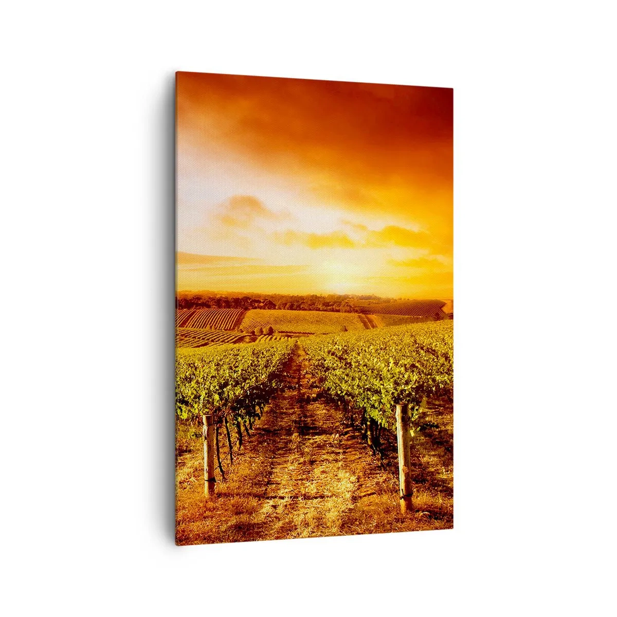 Obraz na plátne - Jemne ovocné s nádychom slnka - 80x120 cm