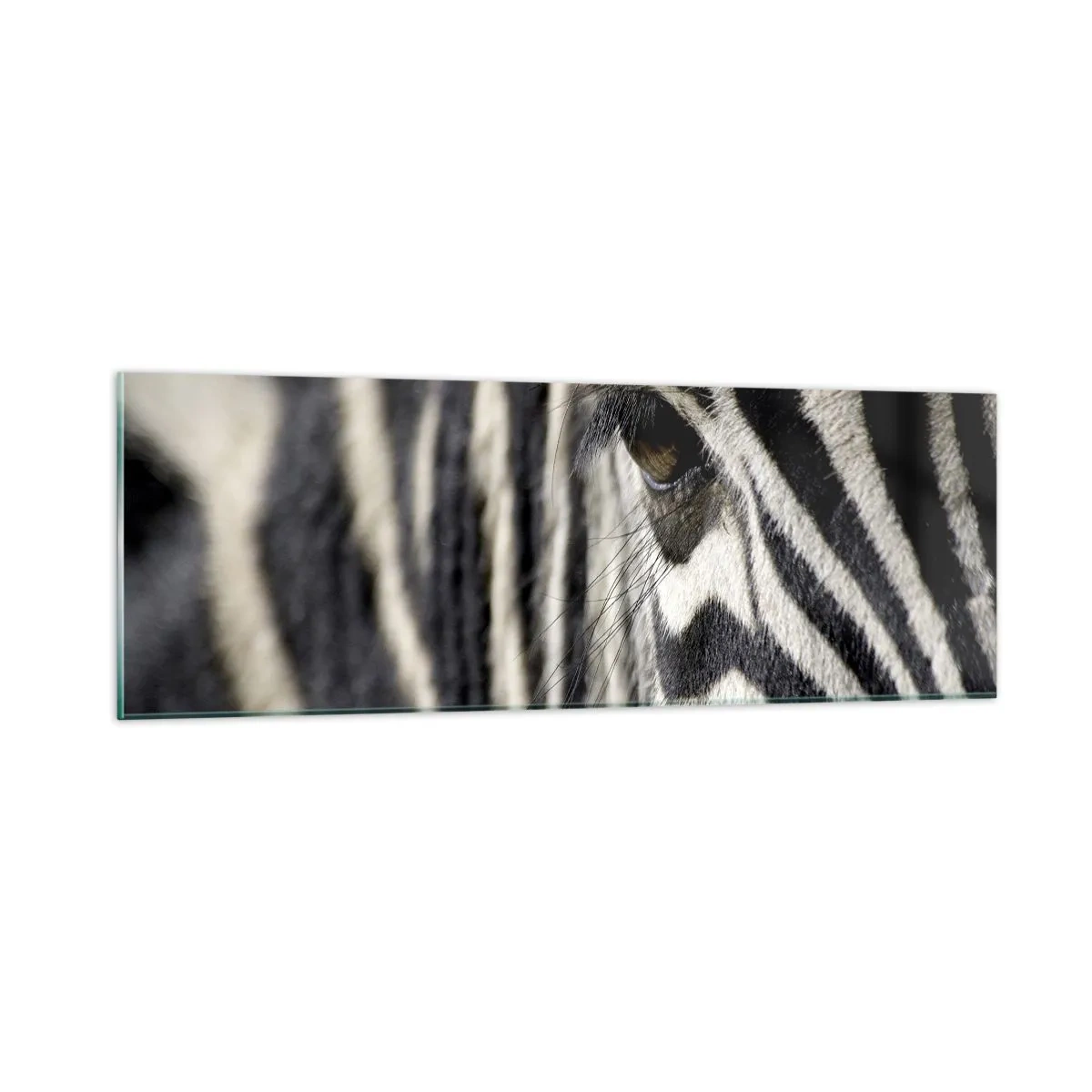 Obraz na skle - Portrét s pruhmi - 90x30 cm