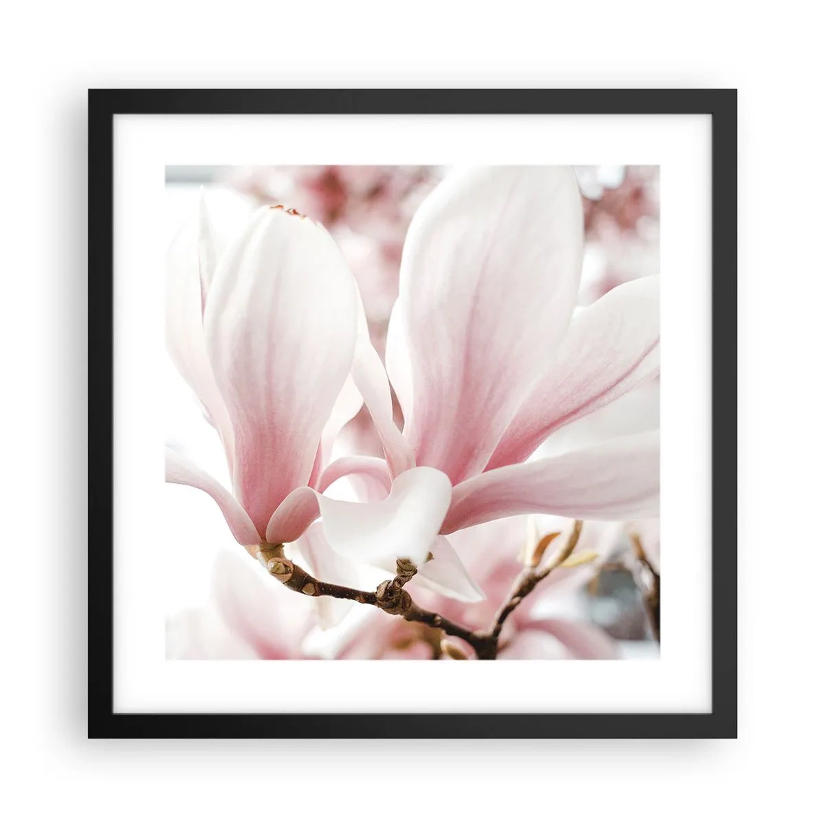 Plagát v čiernom ráme - Nesmiernosť nežnosti - 40x40 cm