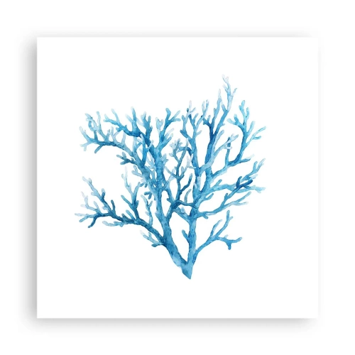 Plagát - Morský filigrán - 40x40 cm