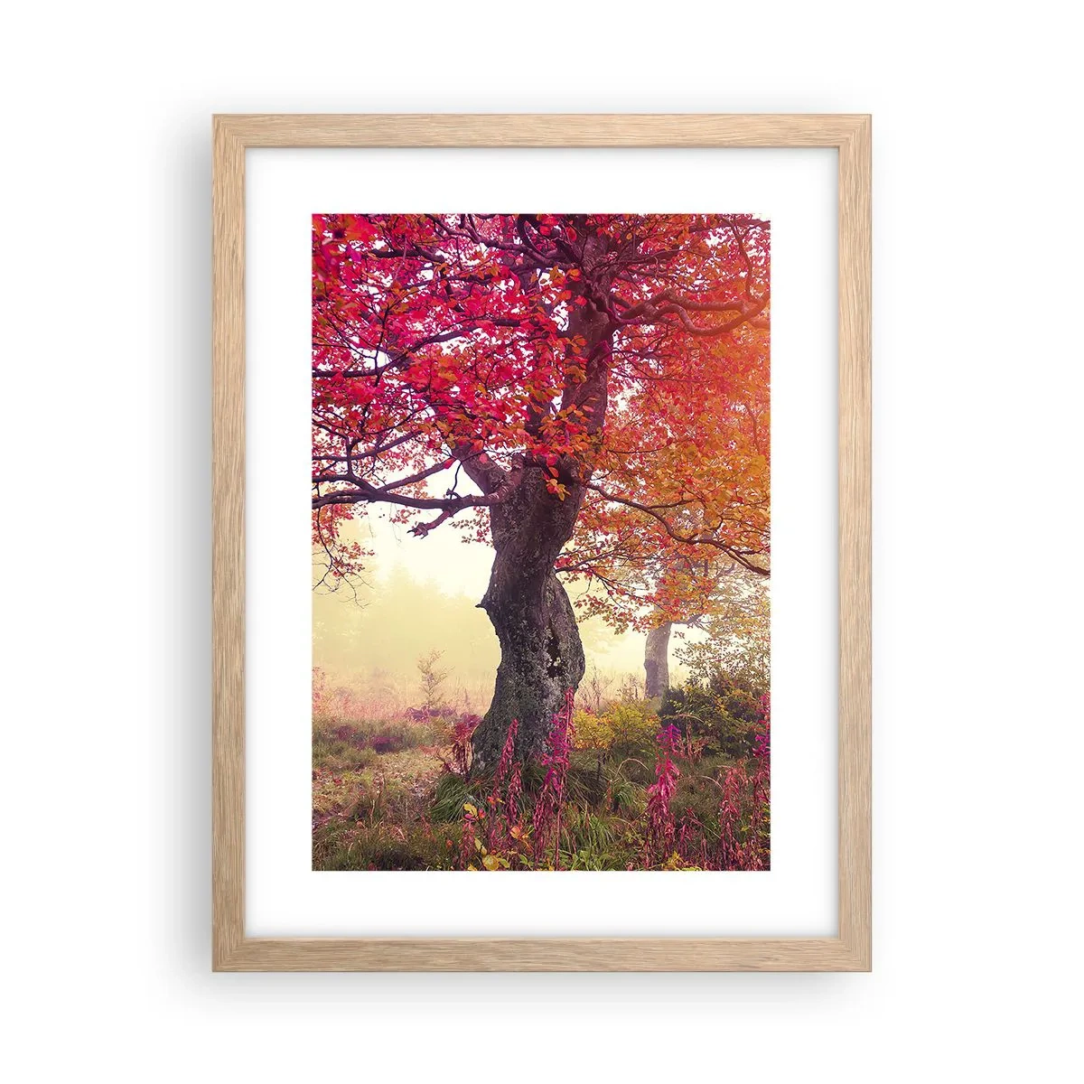 Plagát v ráme zo svetlého duba - Šialenstvo rozkvetu - 30x40 cm