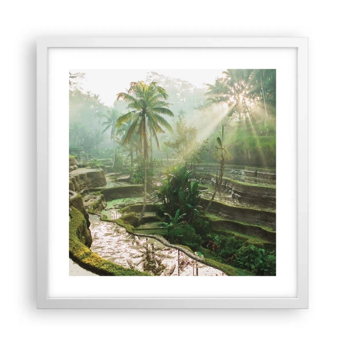 Plagát v bielom ráme - Vyrastať na slnku - 40x40 cm