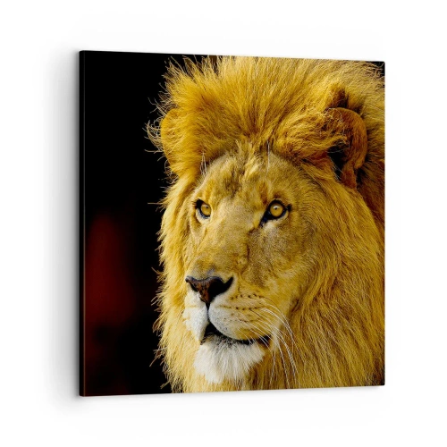 Obraz na plátne - Portrét kráľa - 60x60 cm