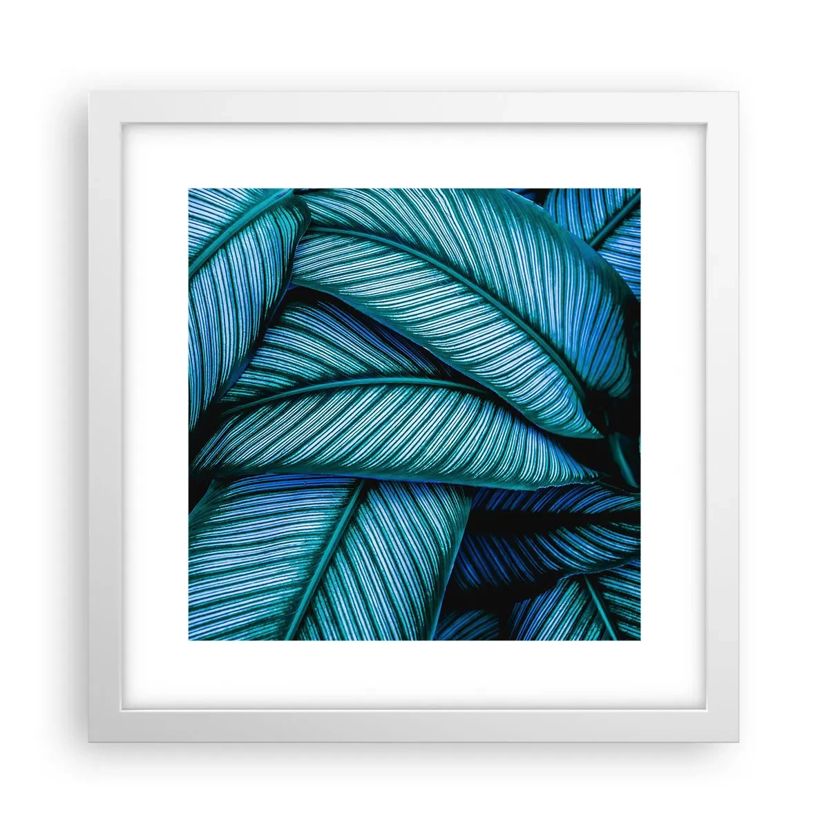 Plagát v bielom ráme - Čiary života - 30x30 cm