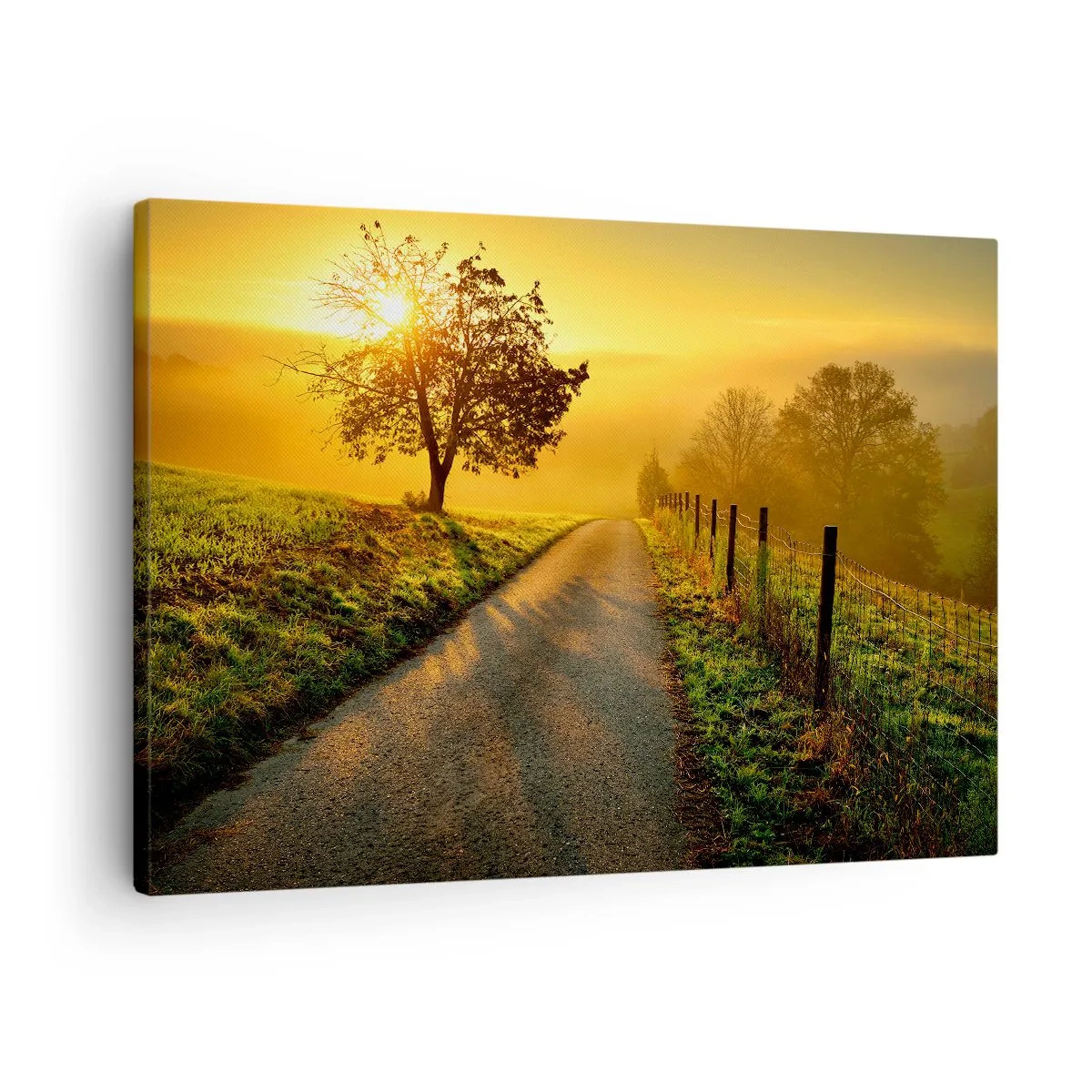 Obraz na plátne - Malebná cesta pri západe slnka s osamelým stromom v pozadí - 70x50cm - Medové popoludnie - Moderná nástenná dekorácia do obývacej izby a spálne ARTTOR
