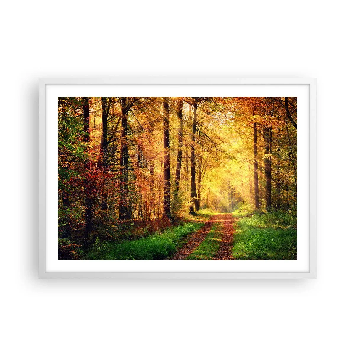 Plagát v bielom ráme - Lesno-zlaté ticho - 70x50 cm