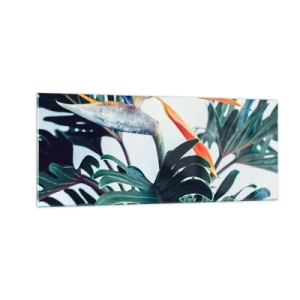 Obraz na skle - Vtáker - 100x40 cm