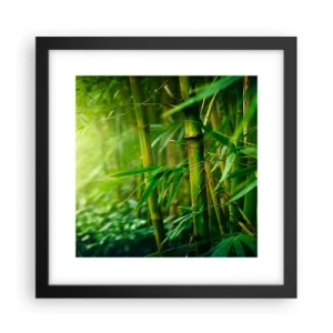 Plagát v čiernom ráme - Poznať samotnú zeleň - 30x30 cm