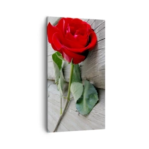 Obraz na plátne - Štúdia v šarlátovej - 45x80 cm