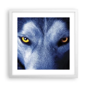 Plagát v bielom ráme - Fascinujúci pohľad - 40x40 cm