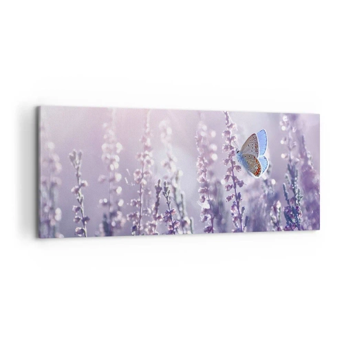 Obraz na plátne - Bozk motýľa - 120x50 cm