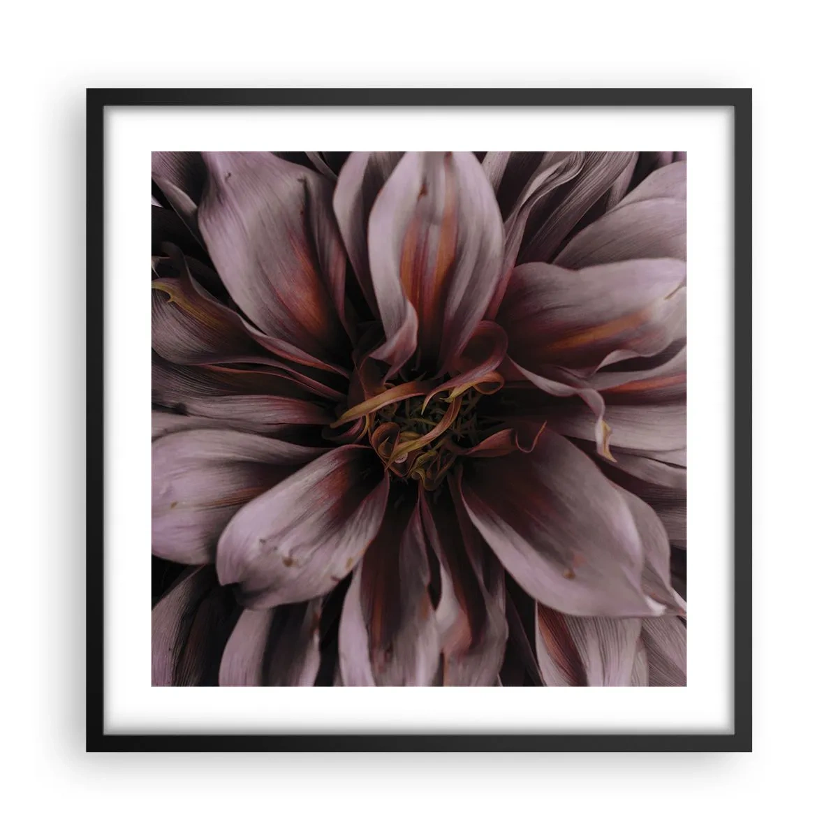 Plagát v čiernom ráme - Kvetinové srdce - 50x50 cm