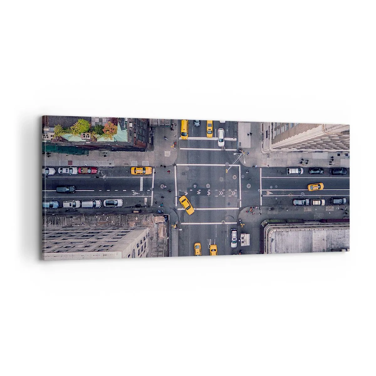 Obraz na plátne - Jednoduchá voľba - 100x40 cm