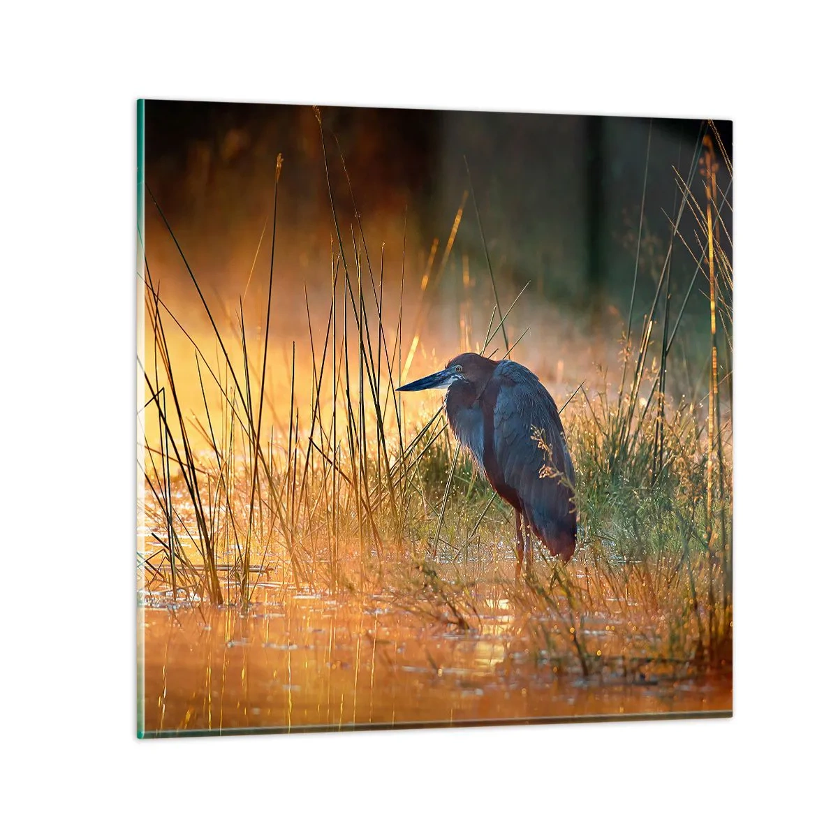 Obraz na skle - Ušetrite ma tých fotiek - 30x30 cm