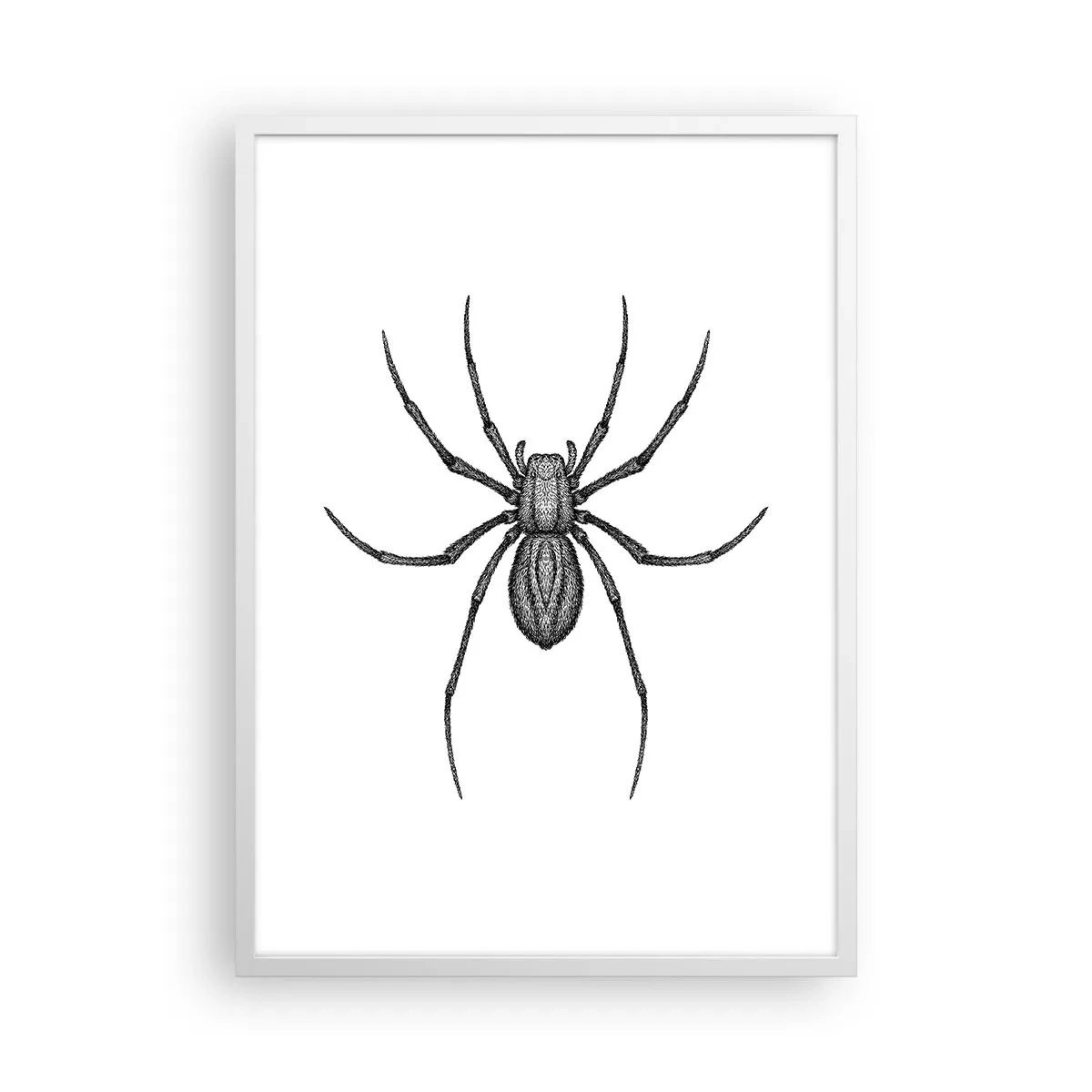 Plagát v bielom ráme - Znepokojivá presnosť - 50x70 cm