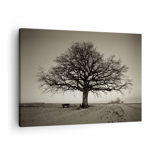 Obraz na plátne - Osamelý strom v sépiovom poli - 70x50cm - Odtiaľ až do večnosti - Moderná nástenná dekorácia do obývacej izby a spálne ARTTOR