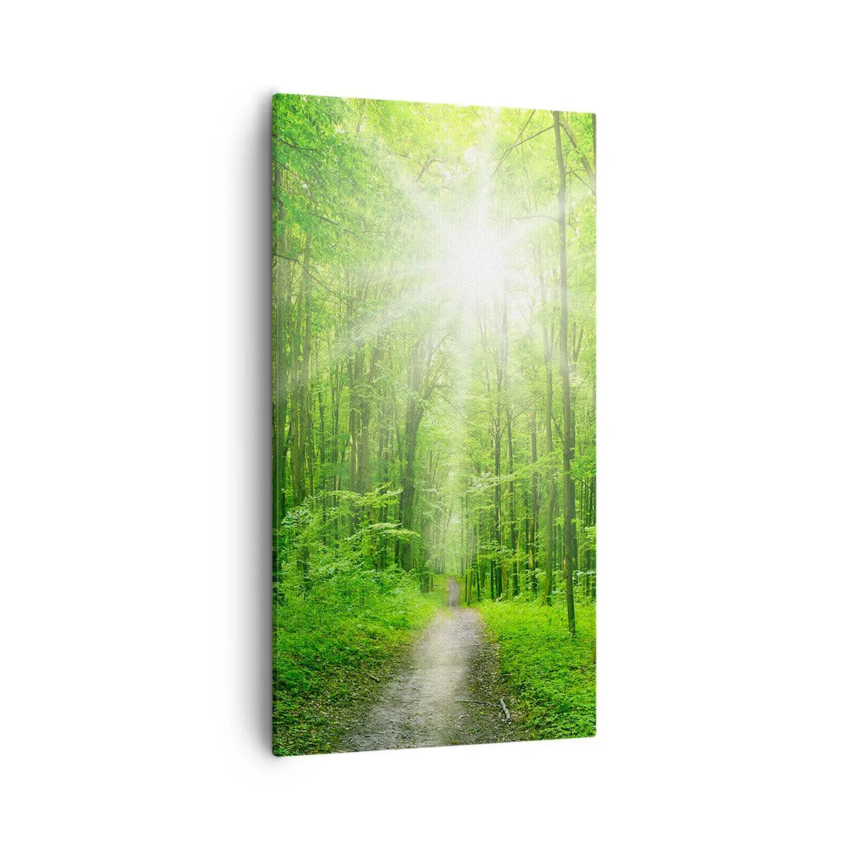 Obraz na plátne - Zelená katedrála - 55x100 cm