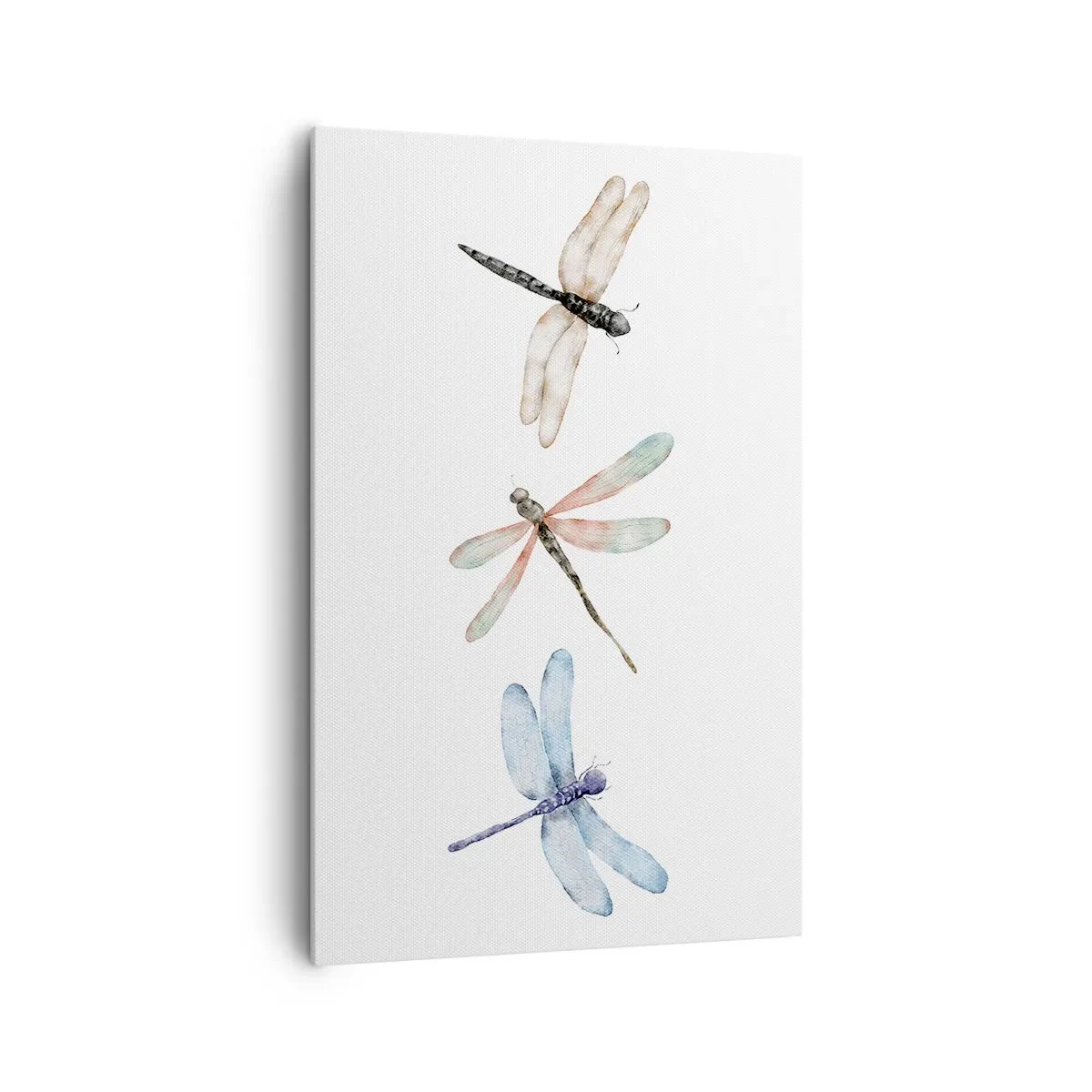 Obraz na plátne - Beztiažové vážky - 80x120 cm