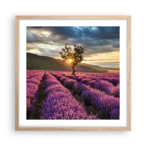 Plagát v ráme zo svetlého duba - Aróma vo fialovej - 50x50 cm