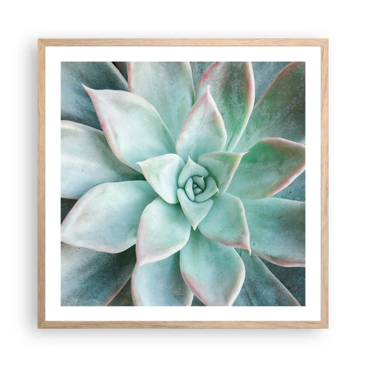 Plagát v ráme zo svetlého duba - Srdce púšte - 60x60 cm