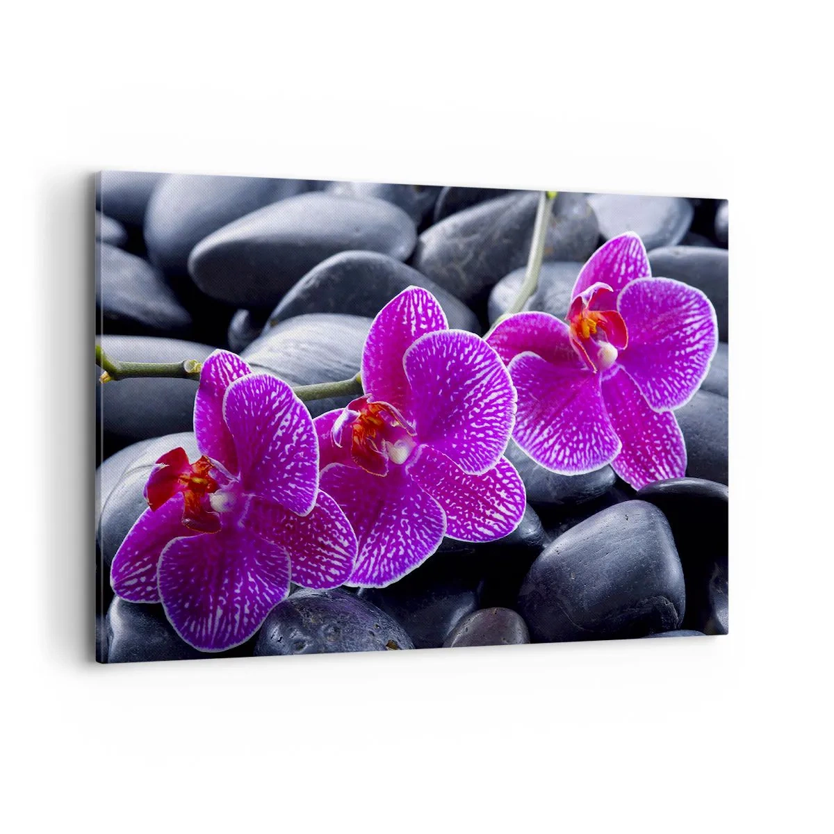 Obraz na plátne - Kamene sa rozžiarili nadšením - 120x80 cm
