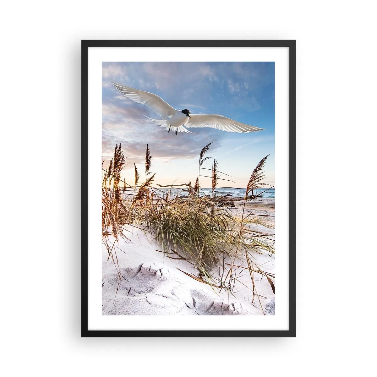 Plagát v čiernom ráme - Vták letí nad dunami a morom pri západe slnka - 50x70cm - Vietor od mora - Moderná nástenná dekorácia do obývacej izby a spálne ARTTOR