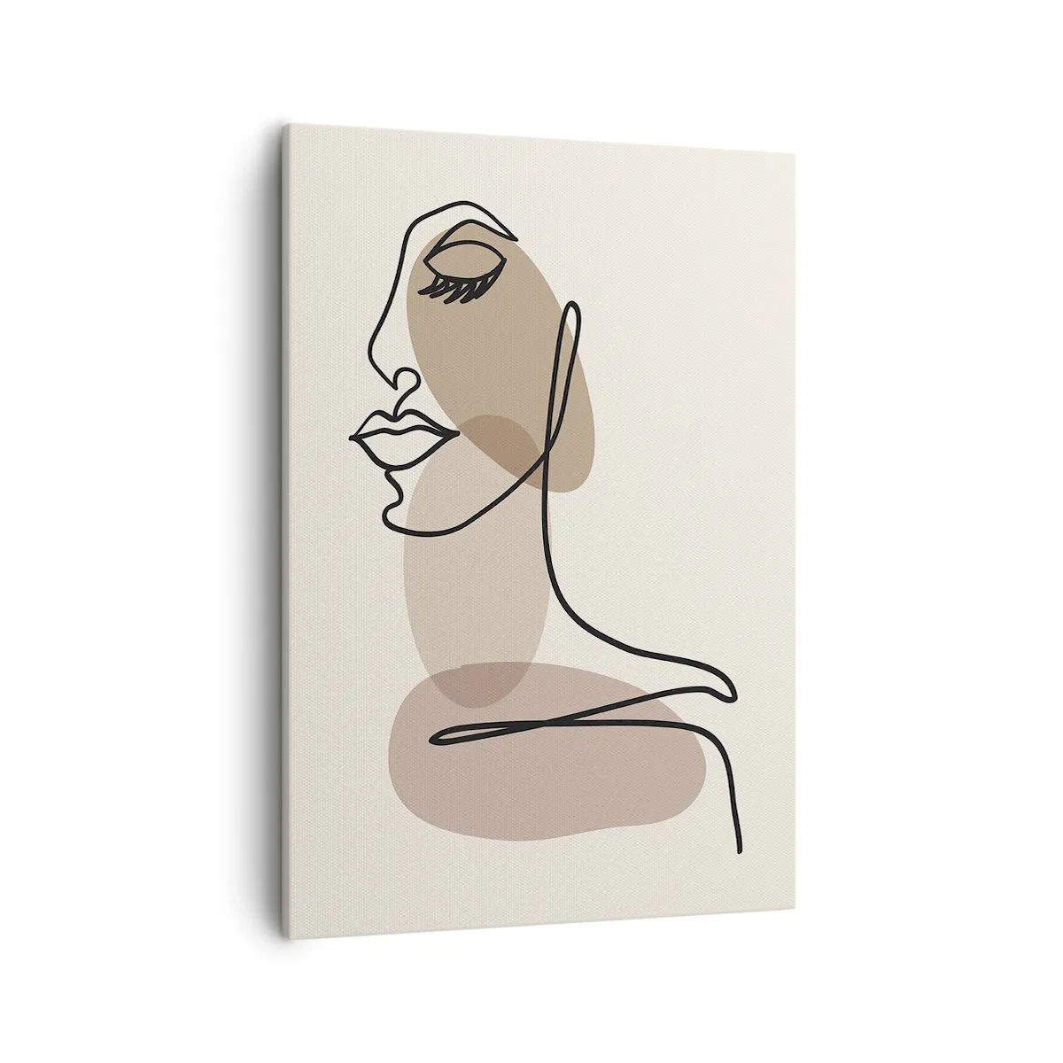 Obraz na plátne - Určitá línia krásy - 50x70 cm