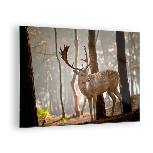 Obraz na skle - Jeleň v lese obklopený rannou hmlou - 70x50cm - Svetlo mladosti - Moderná nástenná dekorácia do obývacej izby a spálne ARTTOR