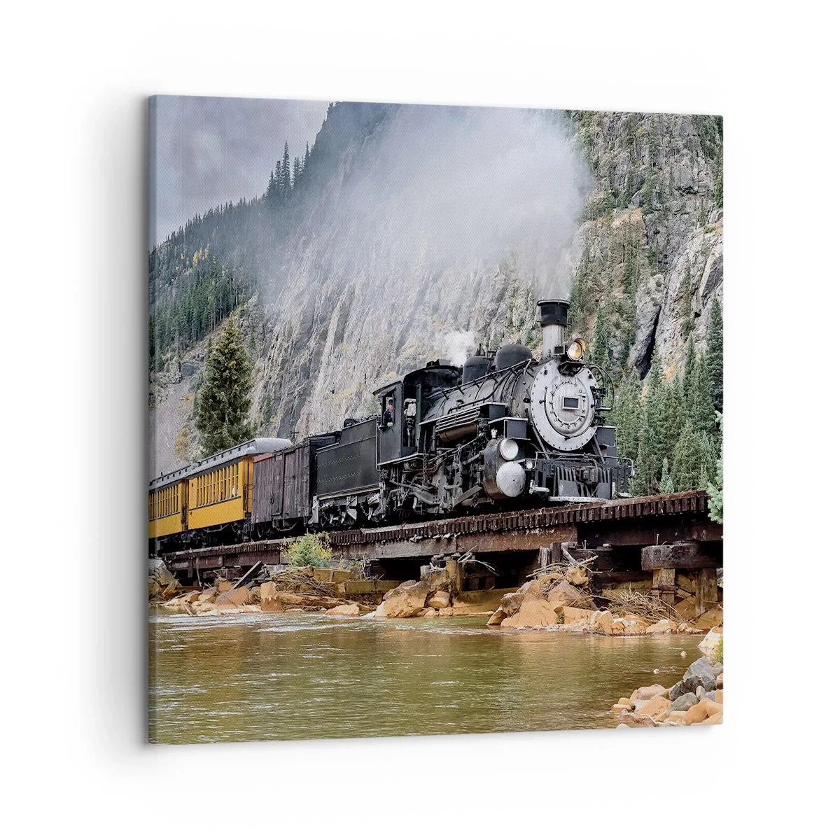 Obraz na plátne - A kam to? Kam? - 50x50 cm