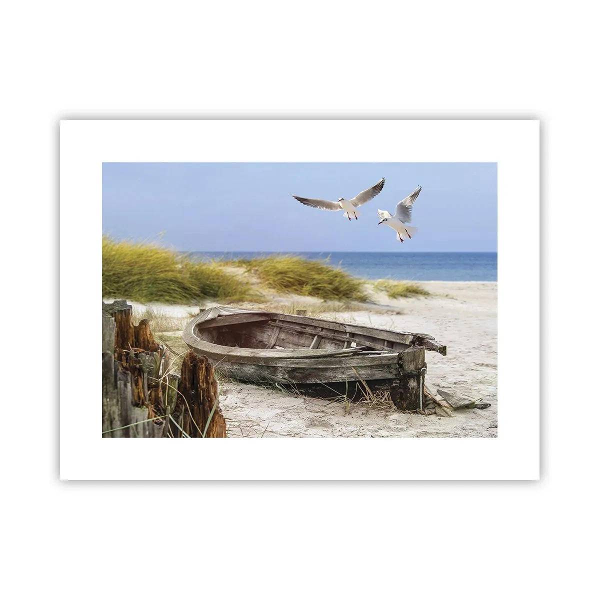 Plagát - Vetrom ožiarené - 40x30 cm