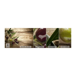 Vzorka fototapety Premium Sand - Priamo od prírody - Olivová ratolesť, Príroda, Olivy - 100x30 cm