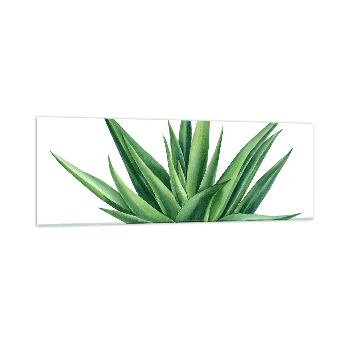 Obraz na skle - Zelená – sila – život - 90x30 cm