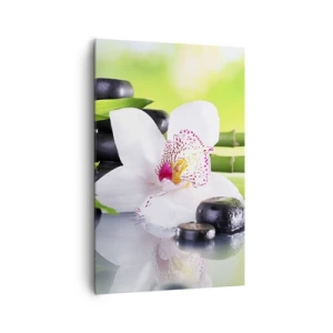 Obraz na plátne - Chladná sviežosť - 80x120 cm